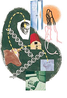 Cow-processing system