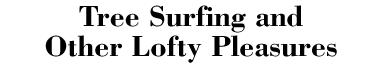 Tree Surfing and Other Lofty Pleasures