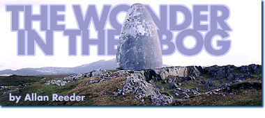 The Wonder in the Bog