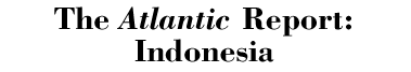 Report on Indonesia