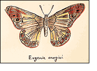 Illustration by Vladimir Nabokov