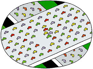 Illustration by Maris Bishofs