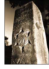 Photograph by Maggie Heinzel-Neel