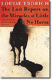 The Last Report on the Miracles at Little No hORSE