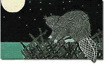 Beaver Moon