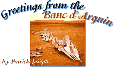 Greetings from the Banc d'Arguin