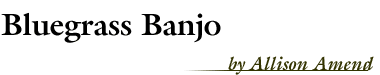 Bluegrass Banjo, by Allison Amend