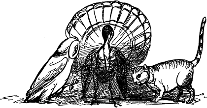 The Owl and the Pussy-cat by Edward Lear